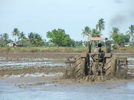 Een landbouwer druk bezig met de natte grondbewerking van zijn 