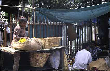 Bombay Maximum City, Bombay lost and found