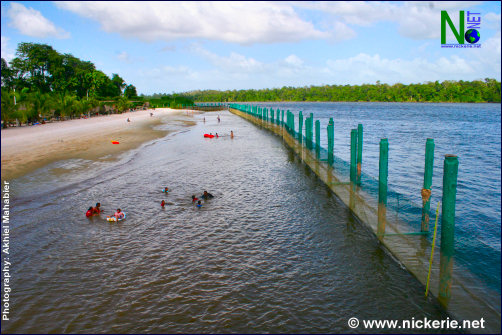 White beach aan de Surinamerivier met het afgebakende zwemgedeelte.
