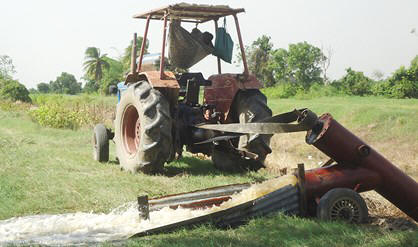 Vanwege schaarste aan water maken rijstboeren meer kosten door water te pompen naar de arealen.