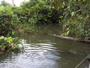 Via deze coupure stroomt het water dat te Wakay gepompt wordt naar een andere bestemming.-