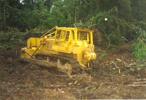Een bulldozer ontbost een stuk terrein. In de komende maanden zullen kweekvijvers worden opgezet voor de garnalenteelt in het district Nickerie.-.